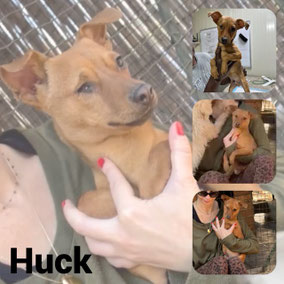 Adopté en Septembre 20025