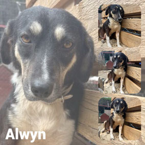 Adoptée en Avril 2026