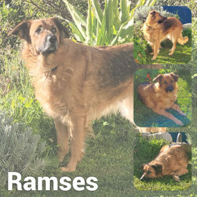 Adoptée en Novembre 2025