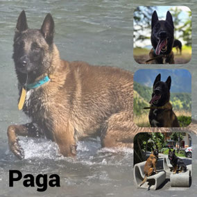 Adopté en Septembre 2025