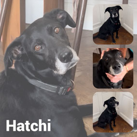 Adopté en septembre 2025