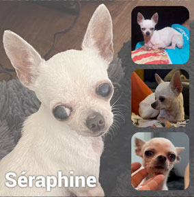 Adoptée en Octobre 2025