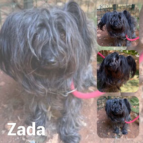 Adoptée en Décembre 2025