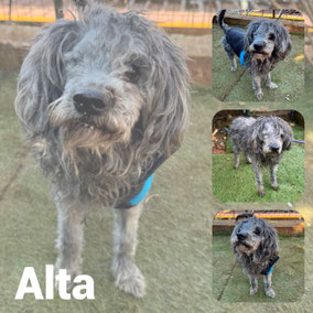 Adoptée en Septembre 2025