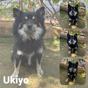 Adopté en Novembre 2025