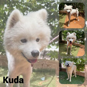 Adopté en Novembre 2025