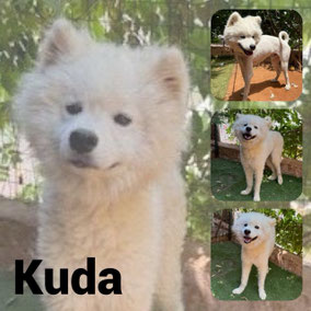 Adopté en Décembre 2025