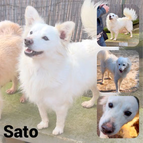 Adopté en Décembre 2025