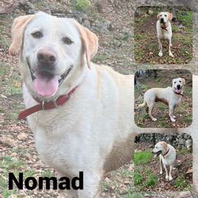 Adopté en Décembre 2025