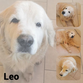 Adopté en Novembre 2025