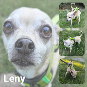 Adopté en Juin 2025