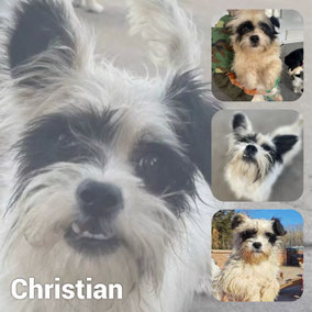 Adopté en Novembre 2025