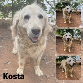 Adoptée en Septembre 2025