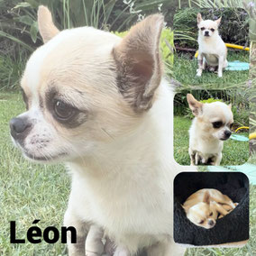 Adopté en Septembre 2025