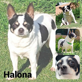 Adoptée en Septembre 2025