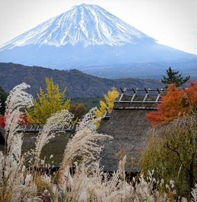 　　　西湖いやしの里からの富士