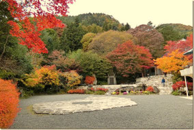 　　　久保田一竹美術館の庭