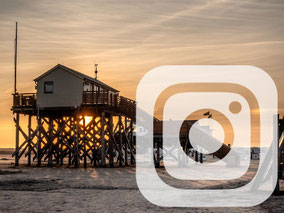 Folge uns auf Instagram