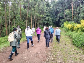 Rwanda-gorilla-trek.jpg