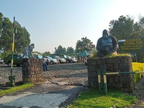 rwanda-tour.jpg