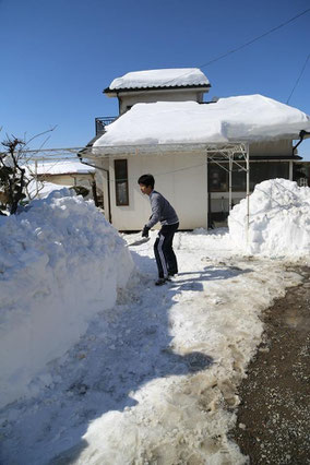 がんばる山田くん　（撮影 荒井翔平）