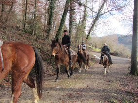 Ausritt Familie Sozzi Pferde Abenteuer, Erlebnis, Wettingen