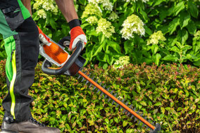 Gartengestaltung Terrassenbau Zaunbau Rollrasenverlegung Gartenpflege Heckenschnitt Baumpflege Baumfällung LüneGrün
