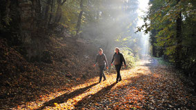 Unser Café und unsere Fewo ist direkt an den Premiumwanderwegen Via Adrina und Via Celtica gelegen