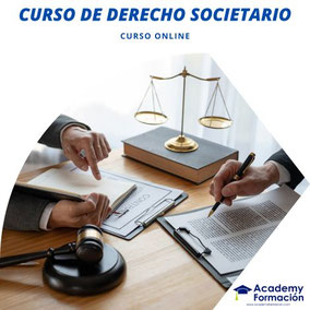 curso de derecho societario