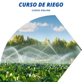 curso de riego