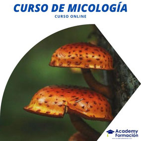 curso de micología
