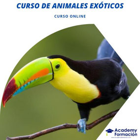 curso de animales exóticos