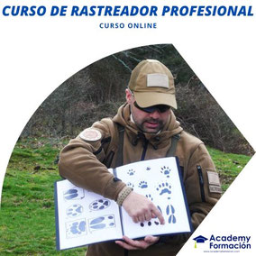 curso de rastreador