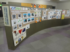パネル展の様子