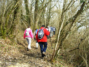 Entre Thonac et Fanlac en Dordogne.