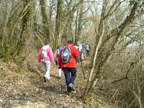 Gîte Le Vieux Frêne : Trail in Dordogne