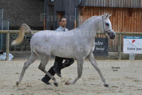 OCCITANIA DES AUBUES