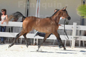 ZARATHOUSTRA LA CHARME 
