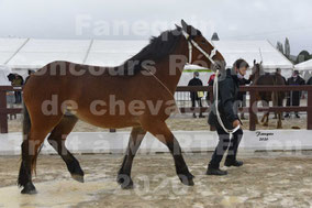 IRYS DU BOUSCAILLOU