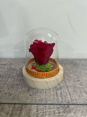 Cúpula rosa eterna 18€