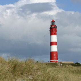 Nordsee Amrum Pellworm Insel Deich Meer Deutschland Urlaub Leuchtturm rot weiß Dünen 