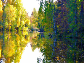Herbst am See Finnland