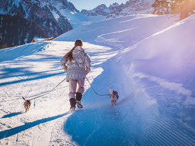  Urlaub mit Hund - Ferienwohnung im steirischen Salzkammergut in Bad Mitterndorf 