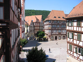 MAG Lifestyle Magazin Mosbach Deutschland Odenwald deutsche Burgenstrasse Fachwerkstrasse Fachwerkhäuser Zeitreise Mittelalter Kiwwelschisserbrunnen schwäbische Alb Odenwald kleinstes Fachwerkhaus Kickelhain