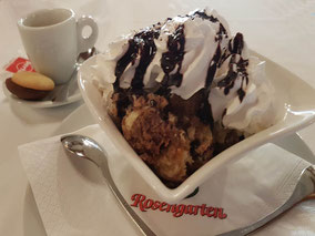 Urlaub in Ungarn, Bienvenue chez Hotel Restaurant Rosengarten