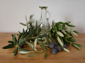 Olivenernte in Dalmatien, Olivenöl aus Kroatien, mediterrane Ernährung mit flüssigem Gold und das French Paradoxon