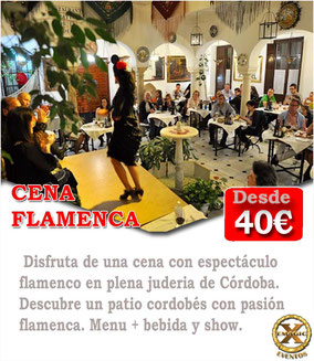 Cena con espectáculo flamenco Cordoba