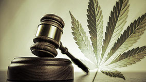 cannabis leglisation
