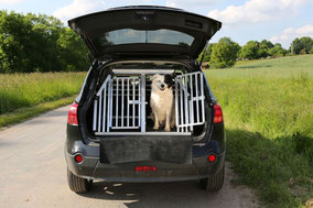 Photo d'une cage pour chien dans une voiture