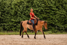 Reitunterricht im Ostallgäu (Weicht 86860), unweit von Kaufbeuren, Mindelheim und Memmingen. Individueller Reitunterricht für Erwachsene und Kinder, vom Anfänger bis zum Fortgeschrittenen, mit Fokus auf Partnerschaft und Sicherheit.